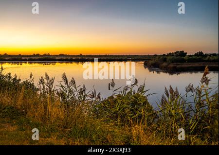 France,Arcachon bay (Bassin d'Arcachon), Audenge, sunset over a pond of the Domaine de Certes et Graveyron (Conservatoire du Littoral) Stock Photo