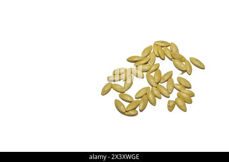 Dry melon seeds, ready for planting in the garden, on a white background. Stock Photo