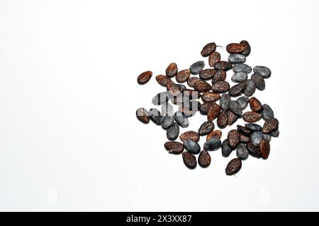 Dry watermelon seeds, ready to eat, on a white background. Close-up. Stock Photo