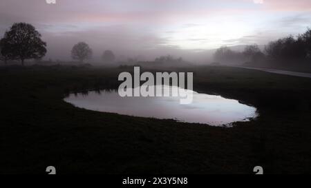A mysterious pond. On an atmospheric evening in the countryside. With trees silhouetted by the sunset and fog. Stock Photo