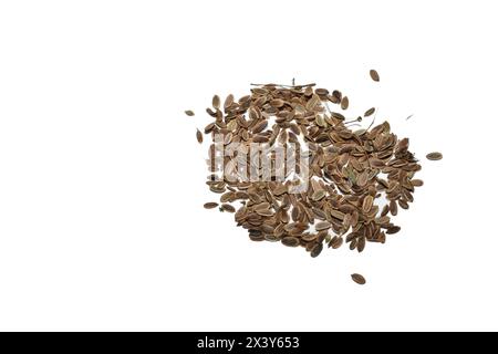 Dry dill seeds, ready for planting in the garden, on a white background. Close-up. Stock Photo