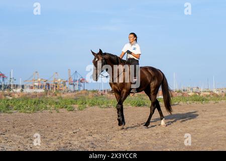 Pinedo (Valencia), Spain - September 17, 2022: A horsewoman riding a big brown horse bareback on the beach of Pinedo, Valencia, before a traditional r Stock Photo