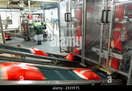 Frozen food industry, packing line. Navarre. Spain Stock Photo