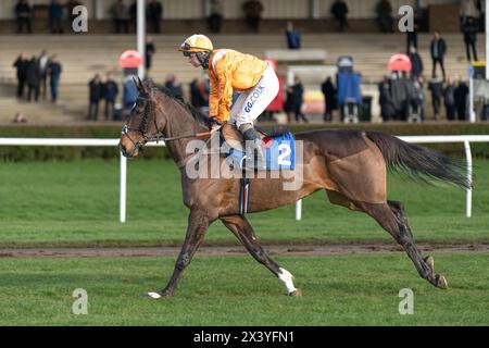 Second race at Wincanton, RacingTV handicap hurdle, Thursday, 20th January 2022 Stock Photo