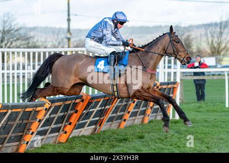 Second race at Wincanton, RacingTV handicap hurdle, Thursday, 20th January 2022 Stock Photo