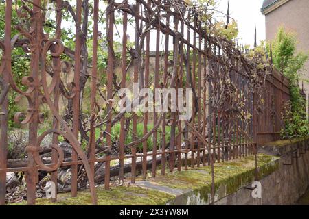 rusty iron gates Stock Photo