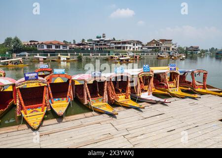 Lineup of shikaras on Dal Lake, Srinagar, Kashmir, India Stock Photo