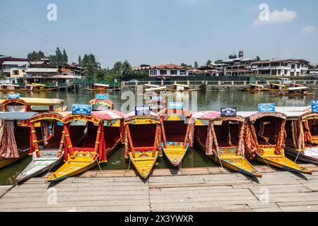 Lineup of shikaras on Dal Lake, Srinagar, Kashmir, India Stock Photo