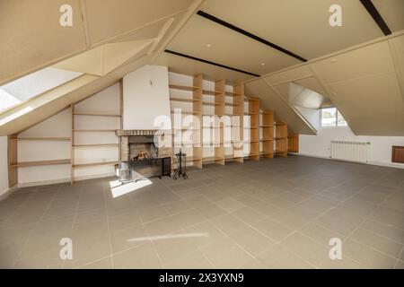 Large attic with a wall of shelves, windows with skylights, glass ...