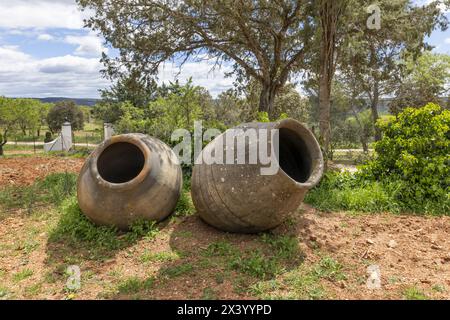 Large jars modeled in clay and traditionally used to store wine, water, oil or cereals with decorative use in the meadow of a farm in a country house Stock Photo