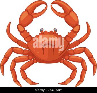 Crab isolated on white background. Stock Vector
