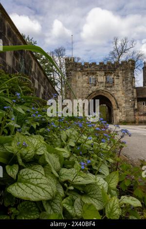 Forget-me-nots and Arched Doorway in Whalley Abbey in Whalley, Lancashire, England Stock Photo