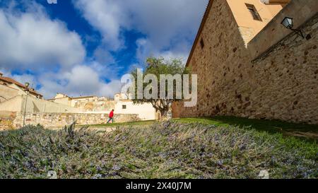 Medieval stone streets in Zamora, Spain Stock Photo