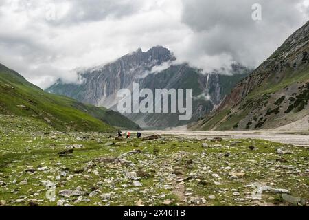 Trekking through the beautiful lush Warwan Valley, Pir Panjal Range, Kashmir, India Stock Photo