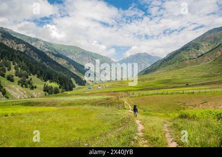 Trekking through the beautiful lush Warwan Valley, Pir Panjal Range, Kashmir, India Stock Photo