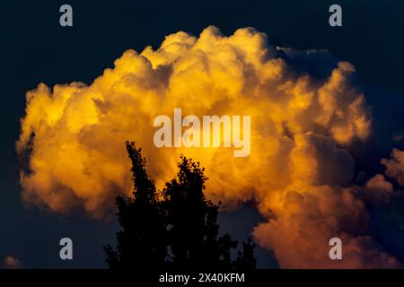 Dramatic warm glowing storm clouds at sunset with dark blue sky and a silhouette of trees in the foreground; Calgary, Alberta, Canada Stock Photo