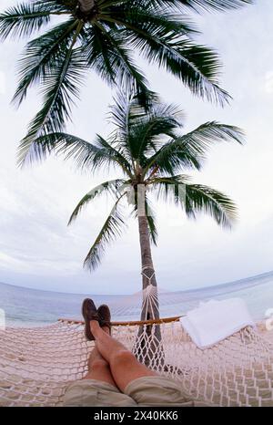 The photographer lays on a hammock between palm trees. Stock Photo