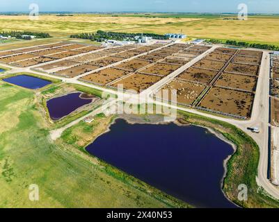 Aerial view of a cattle stockyard on the Canadian prairies with a blue sky, East of Langdon, Alberta, Canada; Alberta, Canada Stock Photo