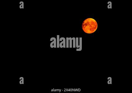 Full moon glowing with the warm light of the sun against a black sky; Calgary, Alberta, Canada Stock Photo