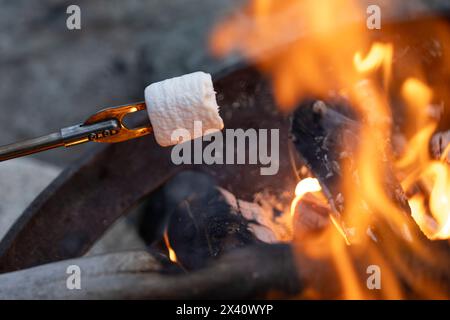 Roasting marshmallows over a fire; Lake of the Woods, Ontario, Canada Stock Photo