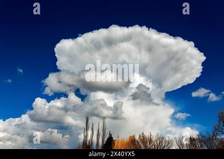 Dramatic mushroom-like thunder cloud against a deep blue sky; Calgary, Alberta, Canada Stock Photo