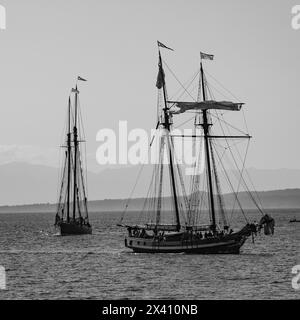 Sailing vessels with masts and flags sailing off the coast of Vancouver Island at Ogden Point, a deep water port facility located in the southweste... Stock Photo