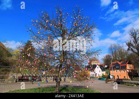 Germany, tree decorated with Easter eggs Stock Photo
