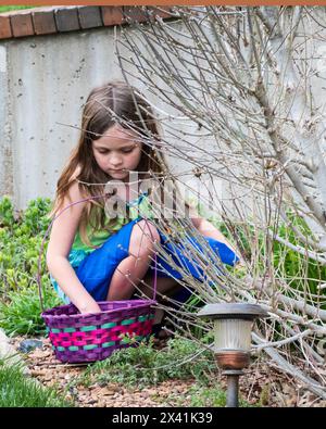 Six year old Caucasian girl looks at eggs she has gathered on an Easter Egg hunt. USA. Stock Photo