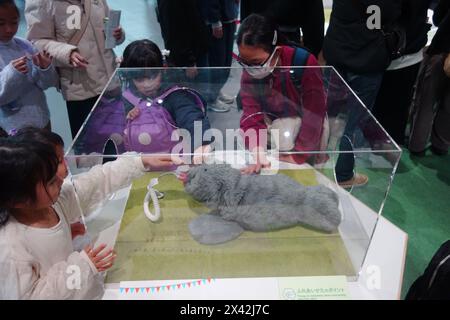 PARO, a medical robot designed to provide comfort and relieve stress in situations where real animals are not available, on display at Miraikan - The Stock Photo