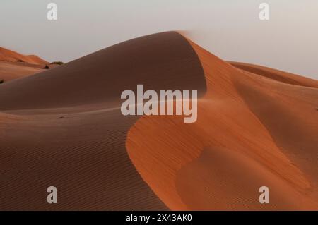 Dunes in the Wahiba Sands at sunset. Wahiba Sands, Arabian Peninsula, Oman. Stock Photo