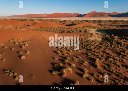 An aerial view of red sand dunes and vegetation in the Namib desert. Namib Naukluft Park, Namibia. Stock Photo