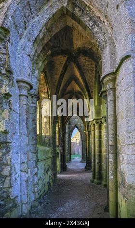 France, Brittany, Plougonvelin. Ruins of the Abbey of Saint Mathieu and ...