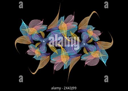 Multi-colored skeleton leaves arranged on black background Stock Photo