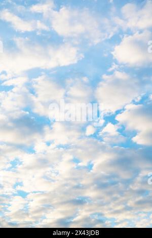 Stunning Altocumulus Clouds Lined Up on Bright Blue Sky Stock Photo