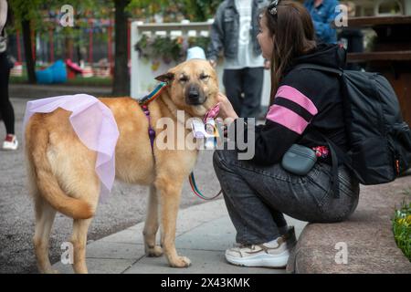 Moscow, Russia. 28th of April, 2024. Volunteers with dogs from the shelter attend the Four-legged friend education project as part of the Easter Gift Festival in Moscow, Russia Stock Photo