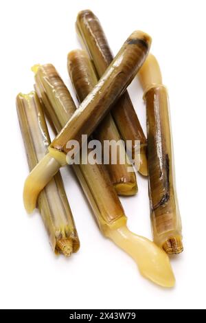 razor clams isolated on white background Stock Photo