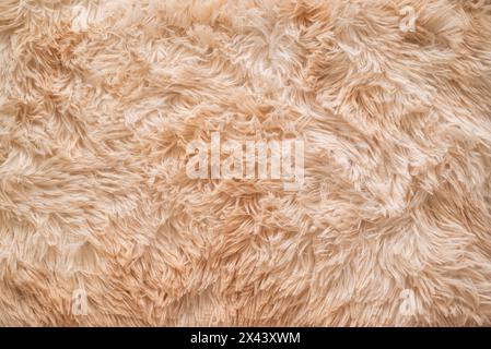 Background picture of a soft fur beige carpet. wool sheep fleece close up texture background. Fake color beige fur fabric. top view. High quality phot Stock Photo
