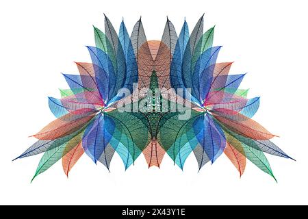 Multi-colored skeleton leaves arranged on white background Stock Photo