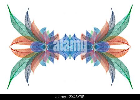 Multi-colored skeleton leaves arranged on white background Stock Photo
