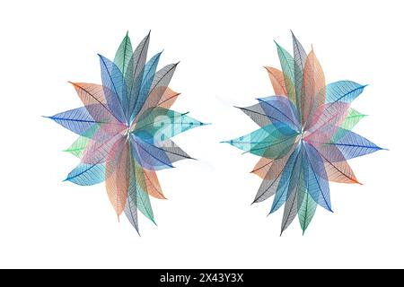 Multi-colored skeleton leaves arranged in radial pattern on white background Stock Photo