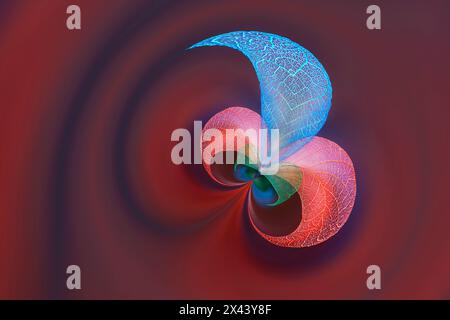 Multi-colored skeleton leaves arranged on black background Stock Photo