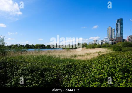 Woodberry Wetlands, London, UK. 30th Apr 2024. UK Weather: warm day at Woodberry Wetlands, north London. Credit: Matthew Chattle/Alamy Live News Stock Photo