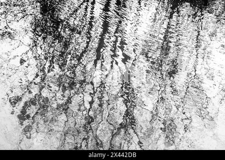 The abstract disorted reflection of a tree in water Stock Photo - Alamy