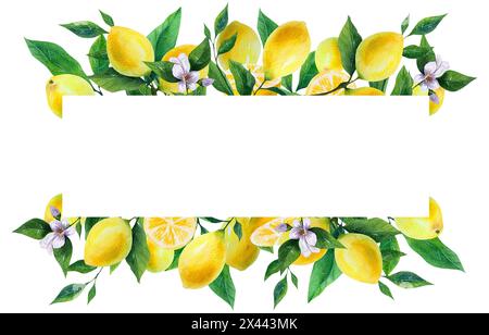 Lemon fruit, frame, watercolor, decoration, illustration, realistic, botanical, celebration, Mothers day Stock Photo