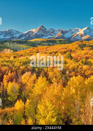 USA, Colorado, Quray. Dallas Divide, sunrise on the Mt. Snaffles with autumn colors Stock Photo