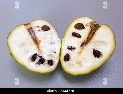 A sliced Chirimuya with visible dark seeds lies on a grey surface, chalklike texture on a light background, sugar-apple, cream-apple, sweet-sack Stock Photo