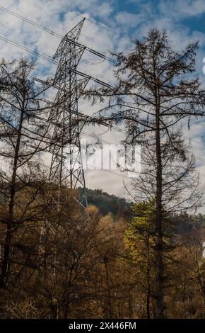 Winter landscape of electrical power line tower surrounded by trees on side of mountain under beautiful cloudy blue sky in South Korea Stock Photo