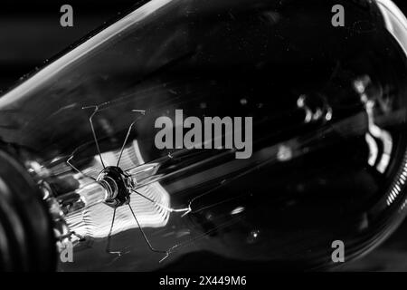 Close view of filaments inside old fashioned light bulb Stock Photo