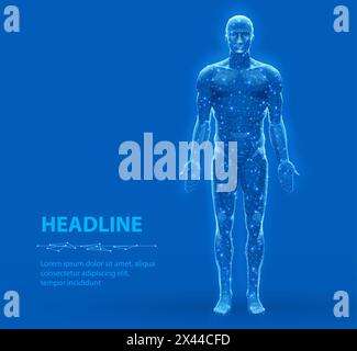 Human muscle anatomy structure illustration Stock Vector Image & Art ...