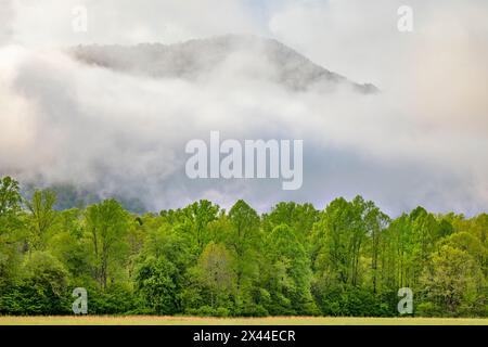 Mountain peak rising through morning mist, Oconaluftee Mountain Farm Museum, Great Smoky Mountains National Park, North Carolina Stock Photo